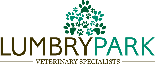 Lumbry Park Veterinary Specialists