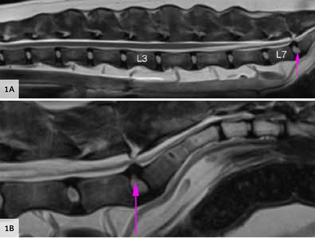 Pain Clinic case study