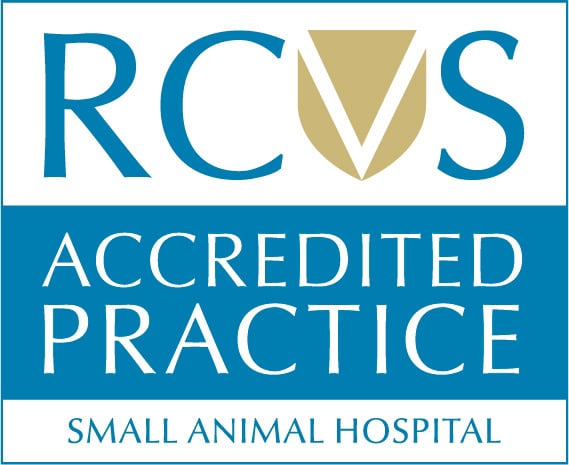 RCVS small animal hospital