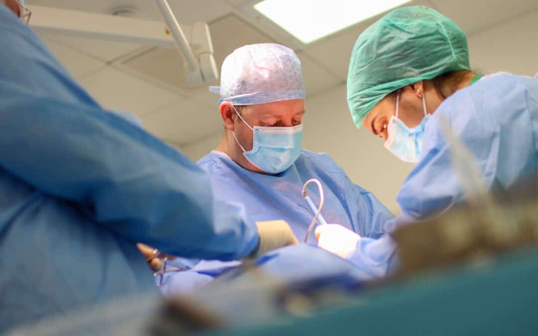 What is TPLO (Tibial Plateau Levelling Osteotomy) and What You Need to Know About the TPLO Procedure