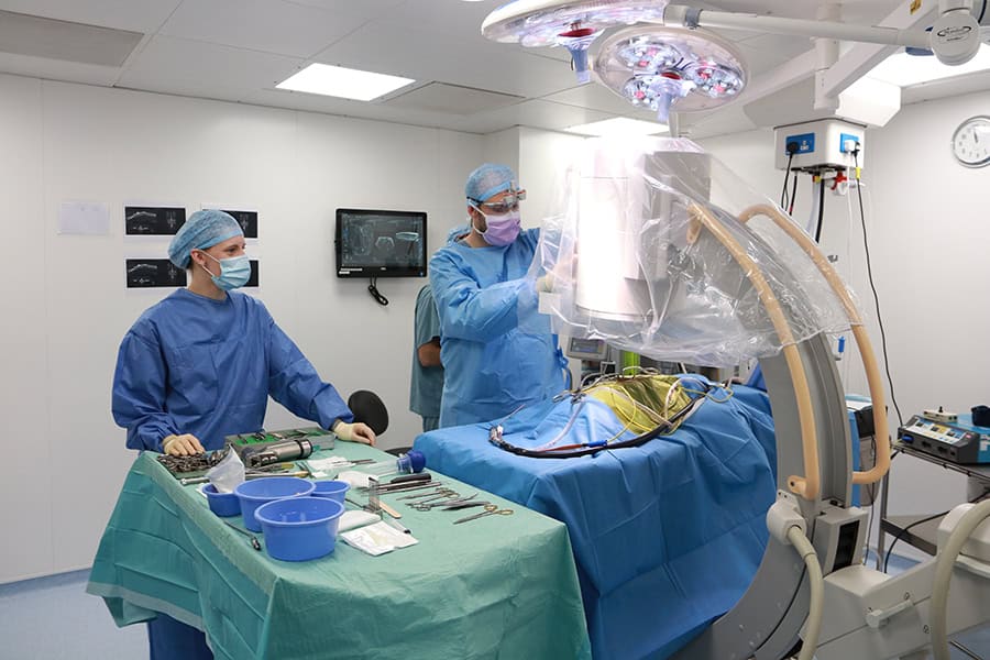 CPD Event: Lumbry Park Veterinary Specialists’ 10th Anniversary