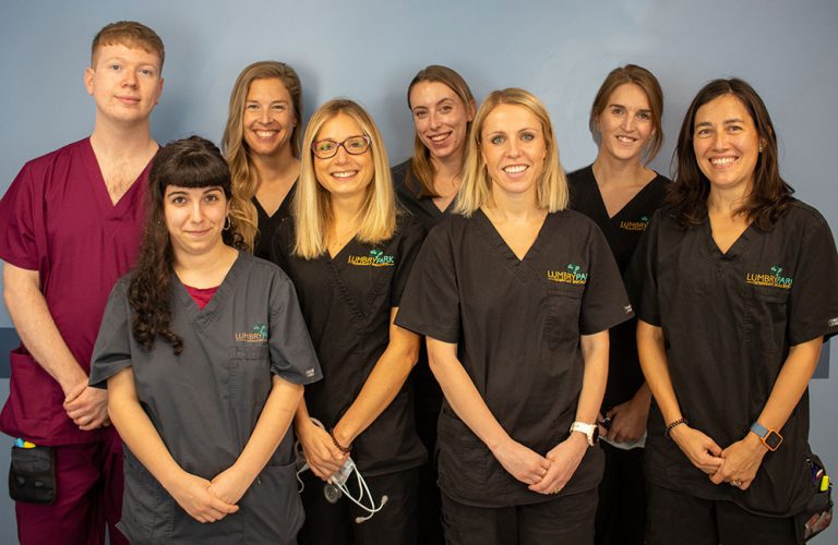 Lumbry Park Veterinary Specialists | Spotlight on anaesthesia - Lumbry ...