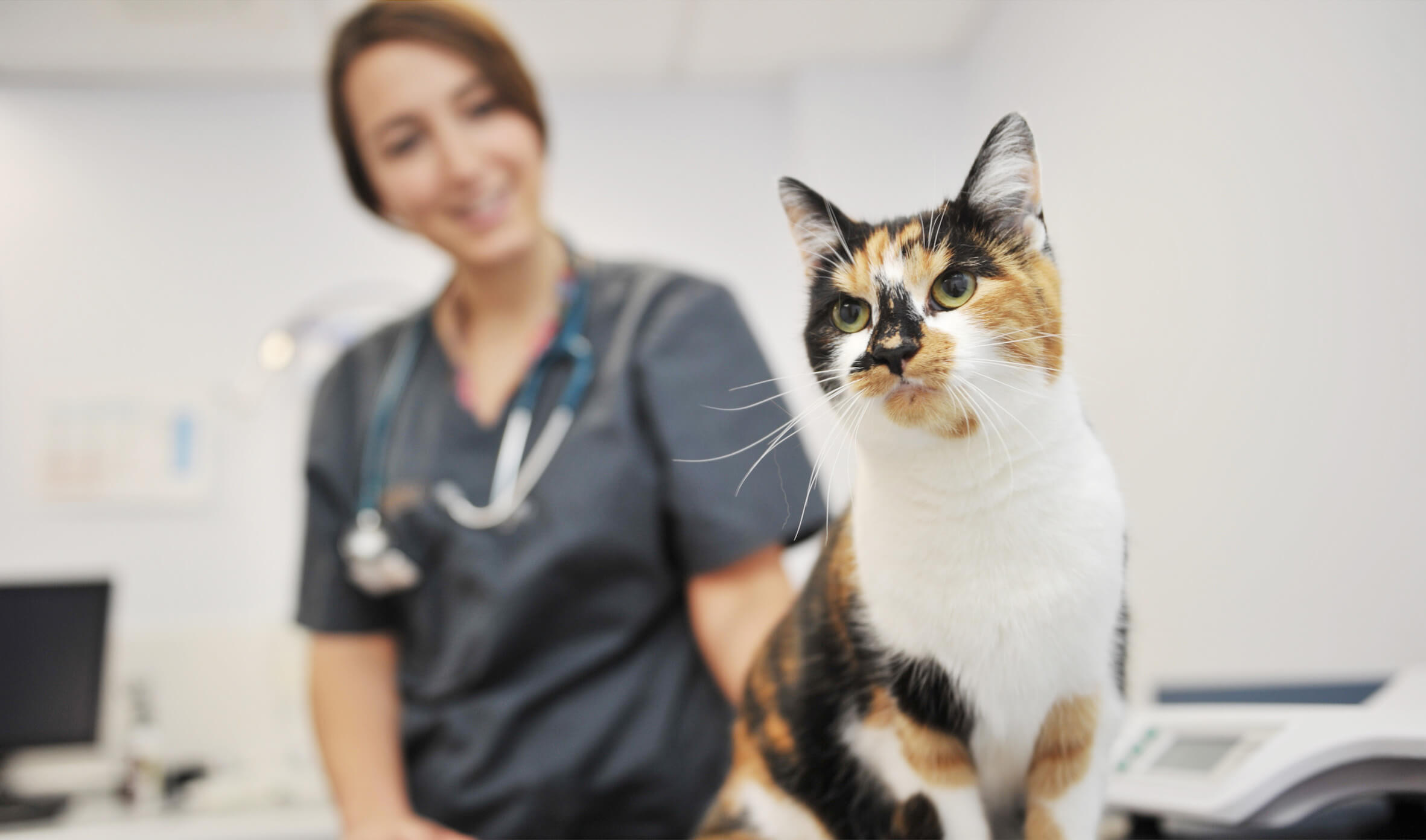We are one of the largest & most advanced veterinary specialist referral centres in the UK.