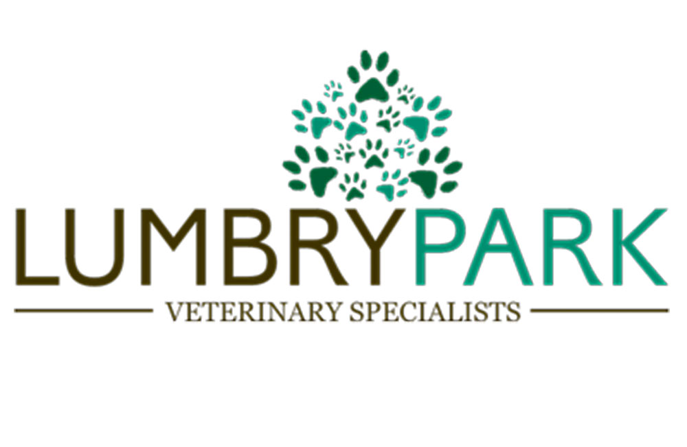 lumbry-park-veterinary-specialists